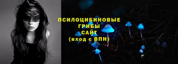 трава Новокубанск
