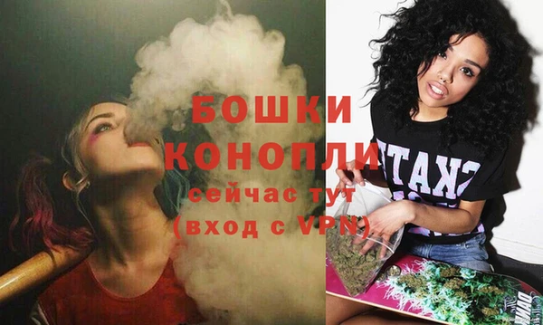 трава Новокубанск