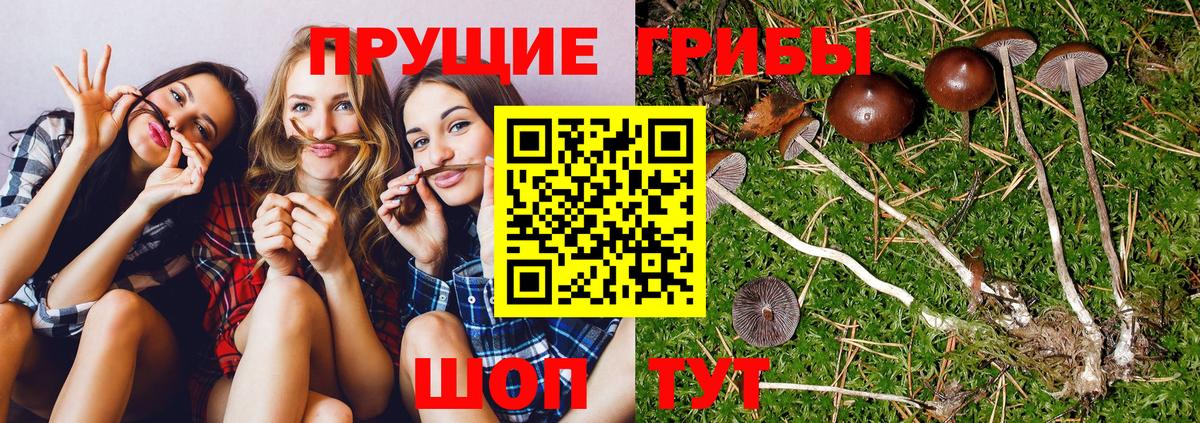Галлюциногенные грибы ЛСД Йошкар-Ола