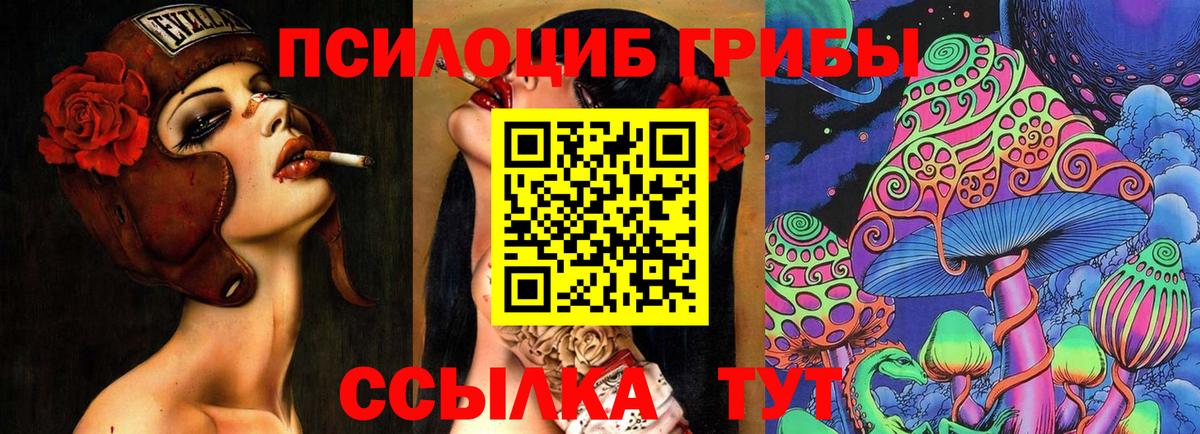 Галлюциногенные грибы мухоморы  Йошкар-Ола  дарнет шоп  Галлюциногенные грибы Psilocybe 