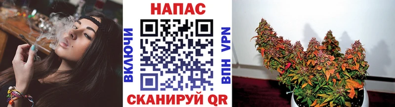 мориарти телеграм  omg маркетплейс  Йошкар-Ола  сколько стоит  Канабис план 